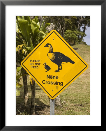 Nene Wild Goose Crossing Sign, Kokee State Park by John Elk Iii Pricing Limited Edition Print image