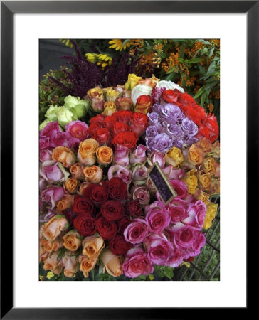 Colorful Rose Flowers For Sale On Street, Paris, France by Brimberg & Coulson Pricing Limited Edition Print image