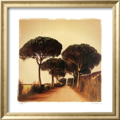 Viaggio I by Amy Melious Pricing Limited Edition Print image