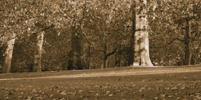 Hyde Park Afternoon Ii by Boyce Watt Pricing Limited Edition Print image