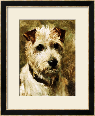 Portrait Of A Terrier: Darkie, 1903 by John Emms Pricing Limited Edition Print image