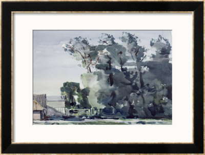 Trees - Dawn by Harry Becker Pricing Limited Edition Print image
