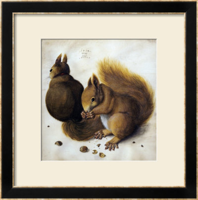Two Squirrels, One Eating A Hazelnut by Hans Hoffmann Pricing Limited Edition Print image