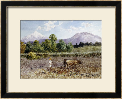 A Farmer Plowing, 1913 by Augusto Lohr Pricing Limited Edition Print image