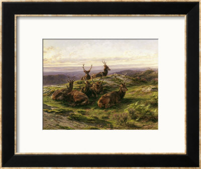 Stags At Rest by Rosa Bonheur Pricing Limited Edition Print image