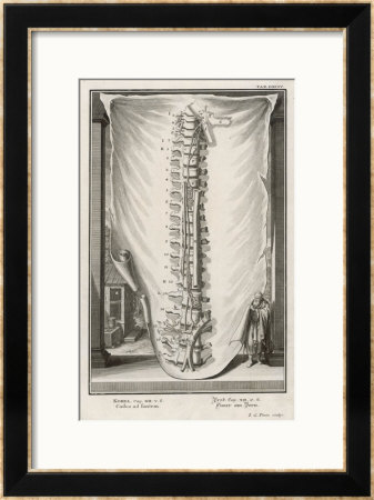 Vertebrae by I.G. Pintz Pricing Limited Edition Print image