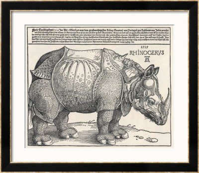The Indian Rhinoceros Is The Largest Of The Asian Spiecies by Albrecht Dürer Pricing Limited Edition Print image