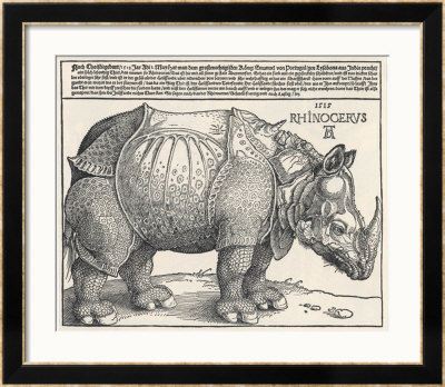 The Indian Rhinoceros Is The Largest Of The Asian Spiecies by Albrecht Durer Pricing Limited Edition Print image