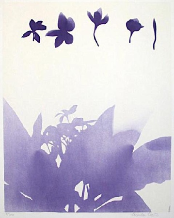 Herbier by Lourdes Castro Pricing Limited Edition Print image