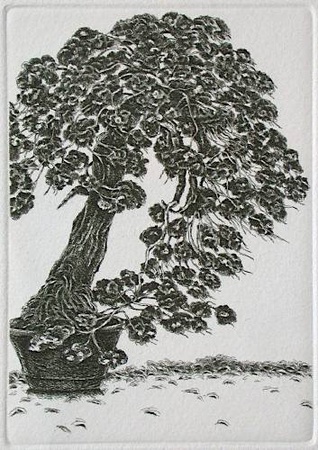 Bonzai Viii by Marc Jurt Pricing Limited Edition Print image