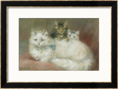 A Persian Cat And Her Kittens by Maud D. Heaps Pricing Limited Edition Print image