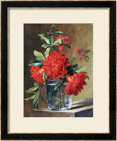 Red Carnations And A Sprig Of Berries In A Glass On A Ledge by Gerard Van Spaendonck Pricing Limited Edition Print image