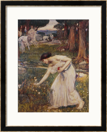 Gathering Rosebuds by John William Waterhouse Pricing Limited Edition Print image