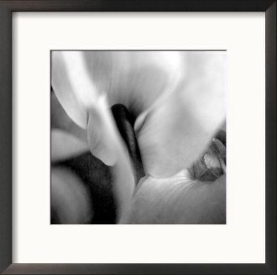 Cyclomen by Eric Kamp Pricing Limited Edition Print image