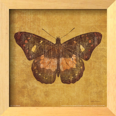 Ochre Butterfly by Katie Pertiet Pricing Limited Edition Print image