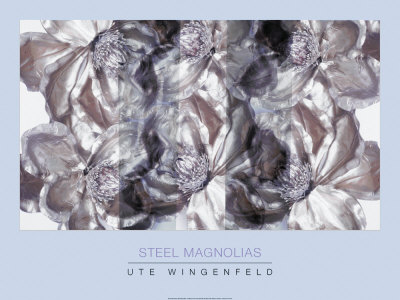 Steel Magnolias by Ute Wingenfeld Pricing Limited Edition Print image