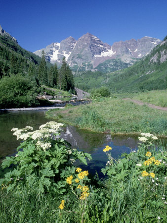 Wildflowers, Maroon Bells, Co by David Carriere Pricing Limited Edition Print image