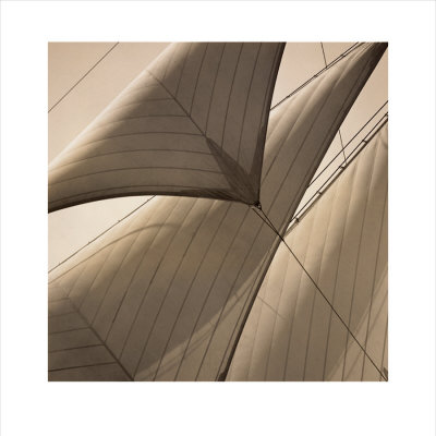 Perfect Trim by Michael Kahn Pricing Limited Edition Print image