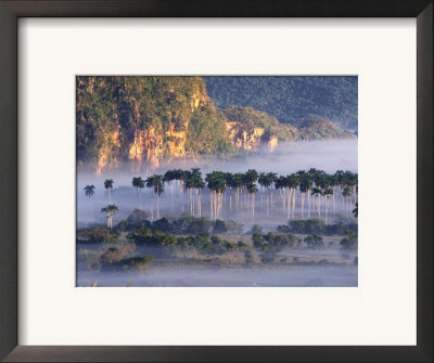 Morning Mist Over Vinales Valley, Pinar Del Rio, Cuba by Alfredo Maiquez Pricing Limited Edition Print image