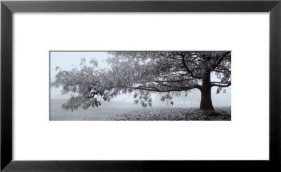 Autumn Oak by Richard Calvo Pricing Limited Edition Print image