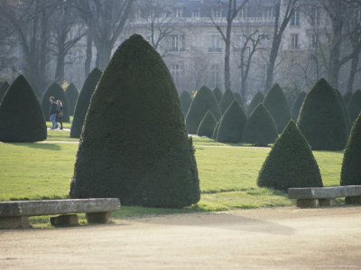 Sculpted Trees Dot A Public Park In Paris by Stephen Sharnoff Pricing Limited Edition Print image