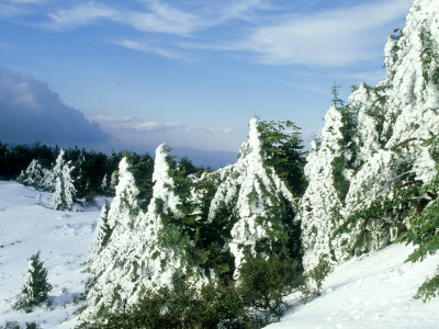 El Nino 1997-98, California, Usa by Richard Herrmann Pricing Limited Edition Print image