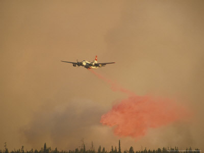 Bomber Drops Retaardent On Fire Yellowstone by Alan And Sandy Carey Pricing Limited Edition Print image