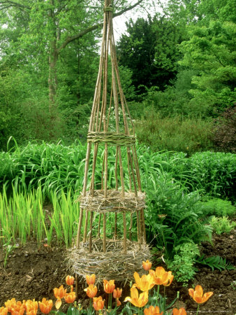Woven Willow Wigwam With Orange Tulipa (Tulip) In Foreground by Mark Bolton Pricing Limited Edition Print image