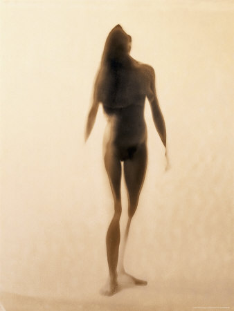 Illustrated Silhouette Of Nude Woman by David Bassett Pricing Limited Edition Print image