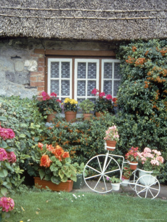 Home Garden, Adare, Ireland by Kristi Bressert Pricing Limited Edition Print image