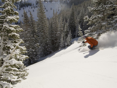 Man Skiing Off-Piste In Jupiter Bowl, Utah, Usa by Mike Tittel Pricing Limited Edition Print image