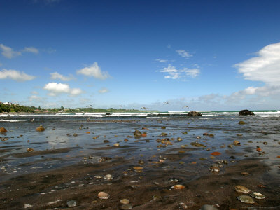 Oakura Beach On The Tasman Sea, Oakura by Tomas Del Amo Pricing Limited Edition Print image