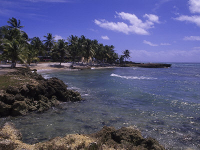 Beautiful Resort On Grand Bay, Guadeloupe by Bill Bachmann Pricing Limited Edition Print image