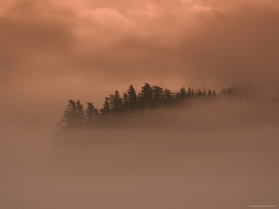 Cruising On Southeast Wilderness Waterways On Spirit Of Discovery by Lee Foster Pricing Limited Edition Print image