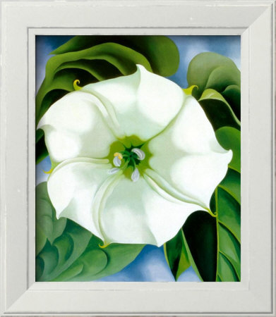 Jimson Weed, 1932 by Georgia O'keeffe Pricing Limited Edition Print image