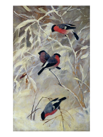 Bullfinches (Oil On Canvas) by Anders Kongsrud Pricing Limited Edition Print image