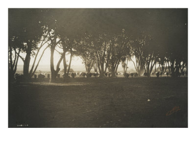 Under The Cottonwoods by Edward S. Curtis Pricing Limited Edition Print image