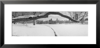 Bare Trees In A Park, Lincoln Park, Chicago, Illinois, Usa by Panoramic Images Pricing Limited Edition Print image