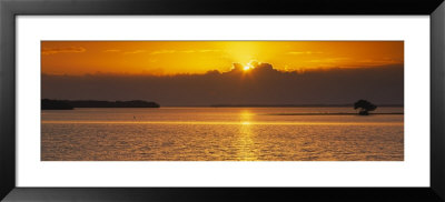 Reflection Of Sun In Water, Everglades National Park, Miami, Florida, Usa by Panoramic Images Pricing Limited Edition Print image