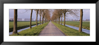 Holland, Meddembeemster, View Of A Tree Lined Lane With Canals by Panoramic Images Pricing Limited Edition Print image