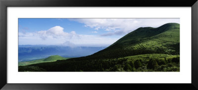 Trees On A Landscape, Mt. Aso, Kumamoto Prefecture, Kyushu, Japan by Panoramic Images Pricing Limited Edition Print image