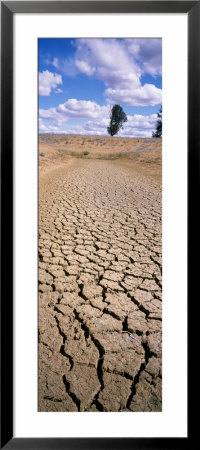 Drought, Australia by Panoramic Images Pricing Limited Edition Print image