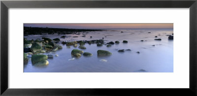 Stones In Frozen Water, Flamborough, Yorkshire, England, United Kingdom by Panoramic Images Pricing Limited Edition Print image