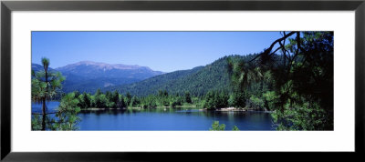 Lake Siskiyou In Mt. Shasta, California, Usa by Panoramic Images Pricing Limited Edition Print image