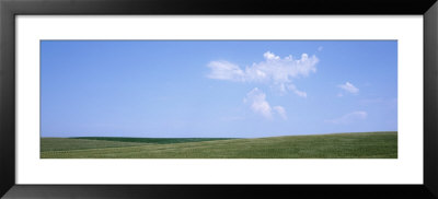 Panoramic View Of Cornfields, Iowa, Usa by Panoramic Images Pricing Limited Edition Print image