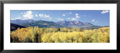Uncompahgre National Forest, Colorado, Usa by Panoramic Images Pricing Limited Edition Print image