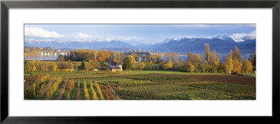 Farm, Rapperswil, Zurich, Switzerland by Panoramic Images Pricing Limited Edition Print image