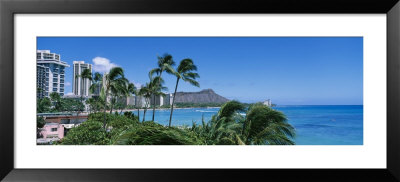 Palm Trees On The Beach, Waikiki Beach, Honolulu, Oahu, Hawaii, Usa by Panoramic Images Pricing Limited Edition Print image