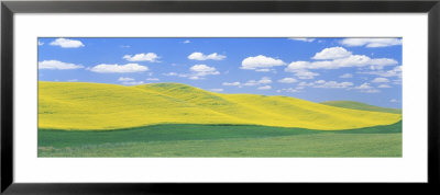 Fields Of Barley, Lentils, And Canola, Whitman County, Washington State, Usa by Panoramic Images Pricing Limited Edition Print image