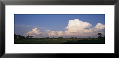 Zebras, Kenya, Africa by Panoramic Images Pricing Limited Edition Print image